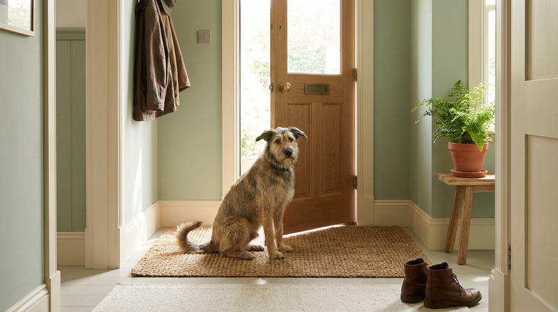 Shepherd-mix dog sitting calmly on a woven doormat by an open front door in a bright sage-and-cream entryway