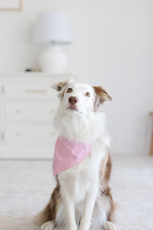 Bandanas