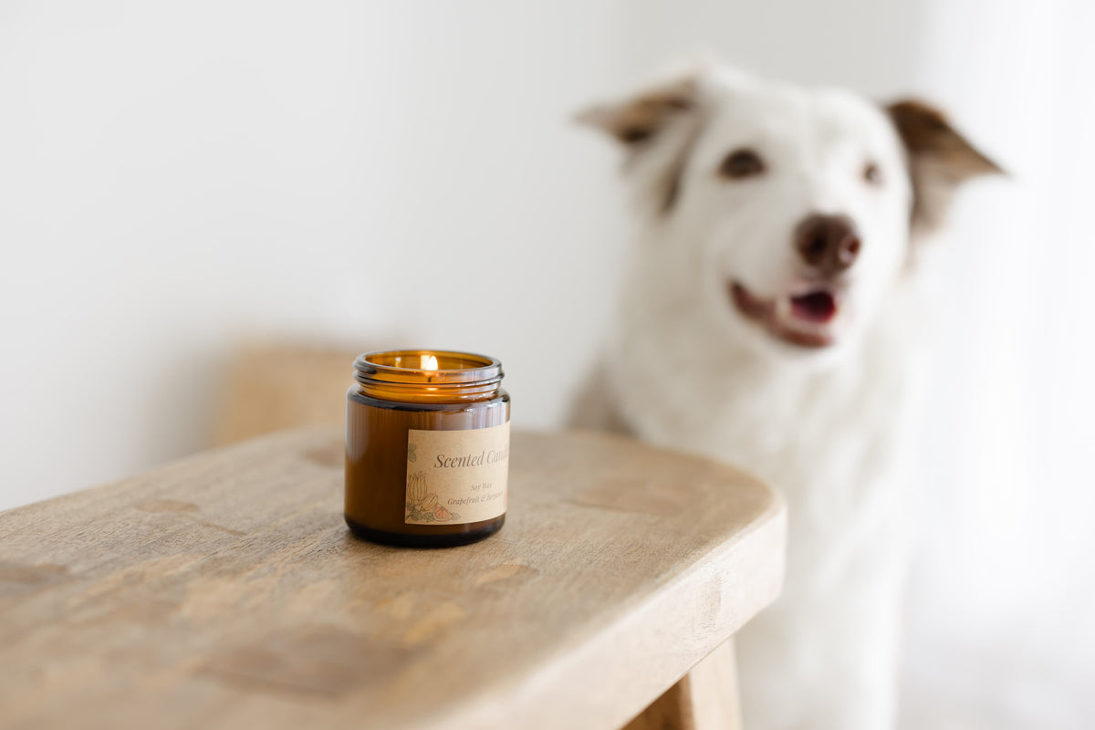 Calming Soy Candle (90g)