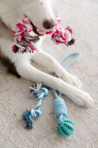 3 Rope Toy Bundle