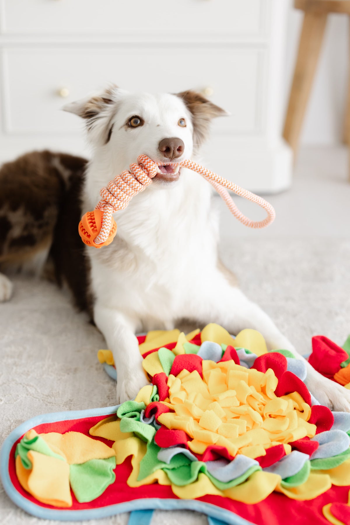 Snuffle Mat + Rope Toy Bundle