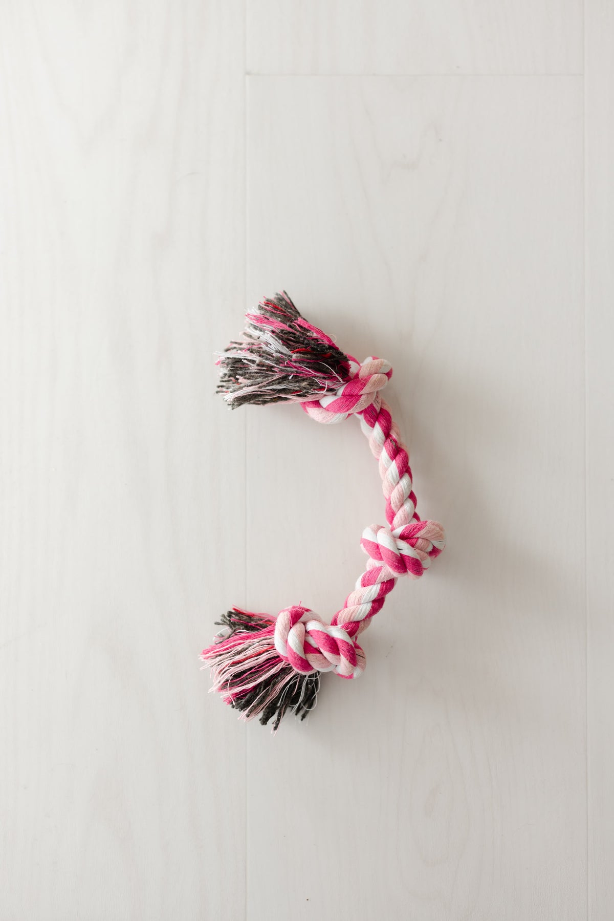 Rope Toy Bone