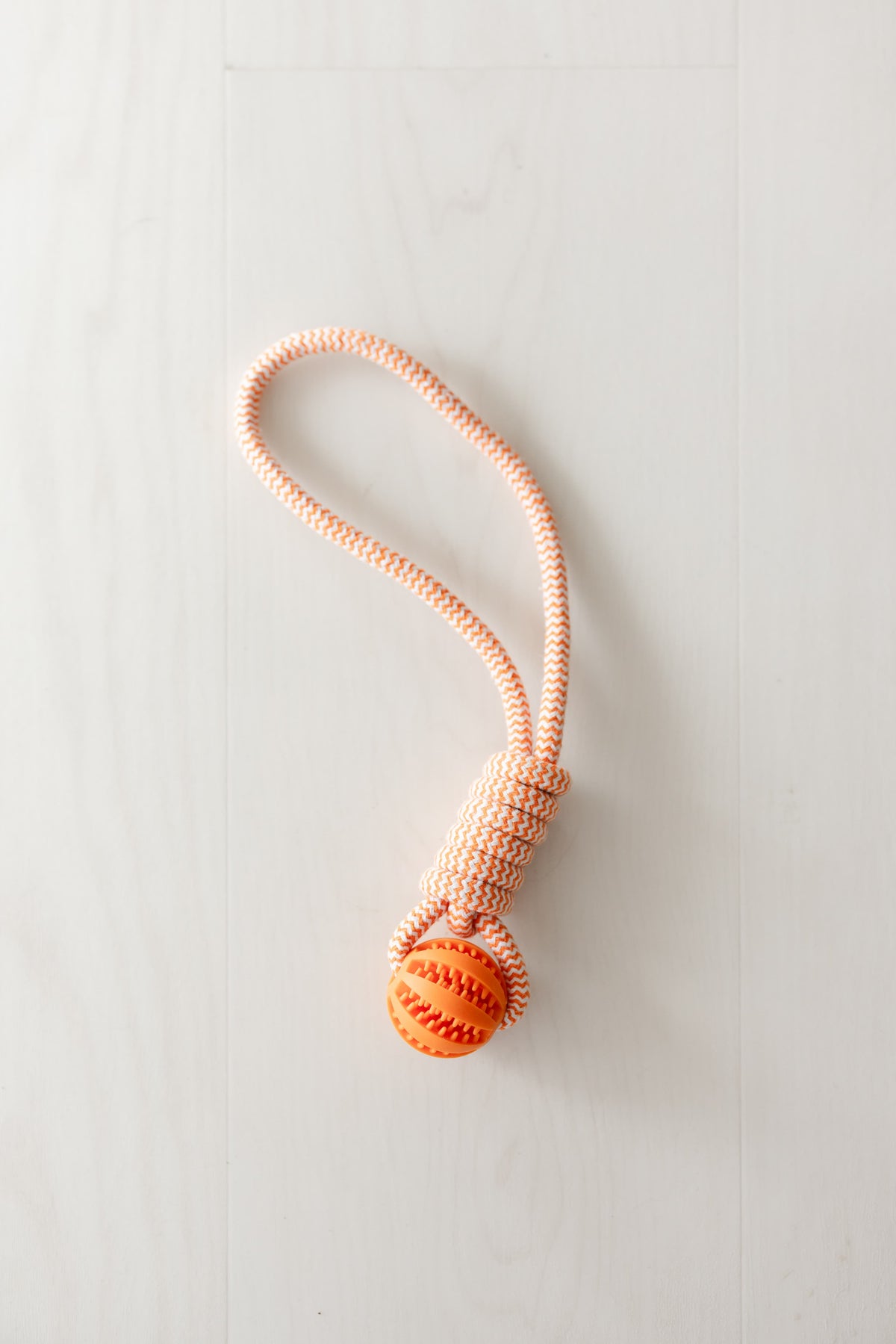 Rope Toy with Treat Ball