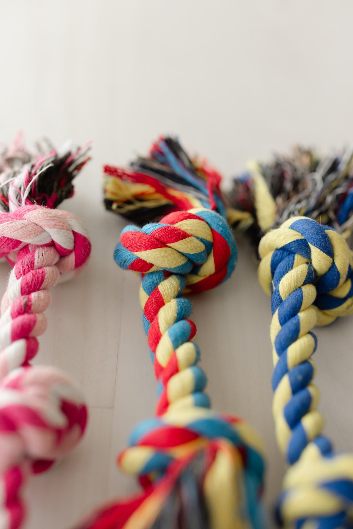 Cotton Rope Tug Toy