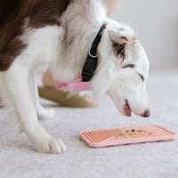 Sniff, Lick & Play – Holiday Enrichment Gift Box for Dogs