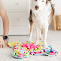 Quiet Moments Together – Holiday Gift Box for Dogs & Their People