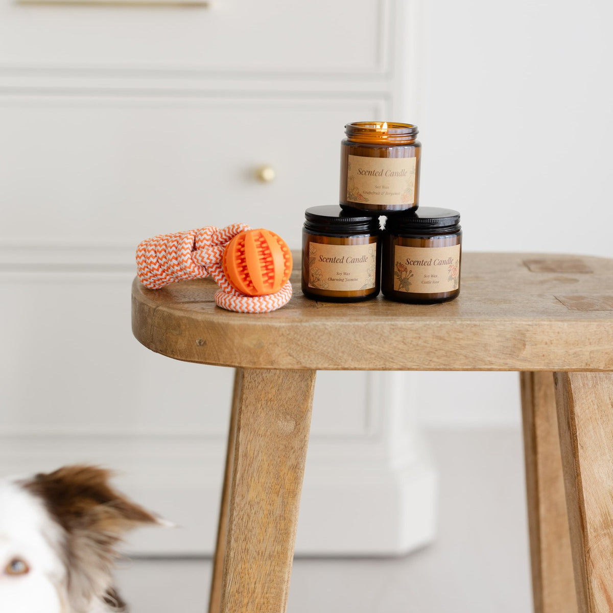The Complete Cozy Play Box – Dog Enrichment & Home Holiday Gift Box