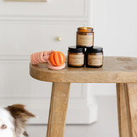 The Complete Cozy Play Box – Dog Enrichment & Home Holiday Gift Box